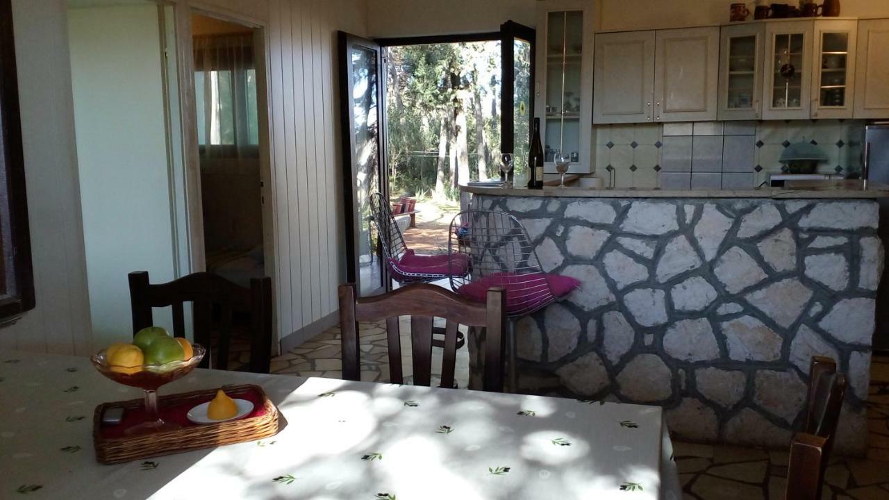 Apartments Vera - Mirca Mirce المظهر الخارجي الصورة