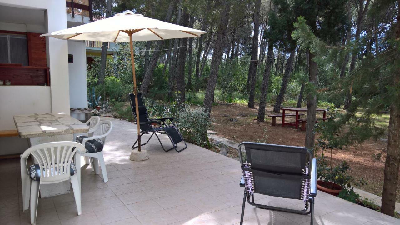 Apartments Vera - Mirca Mirce المظهر الخارجي الصورة