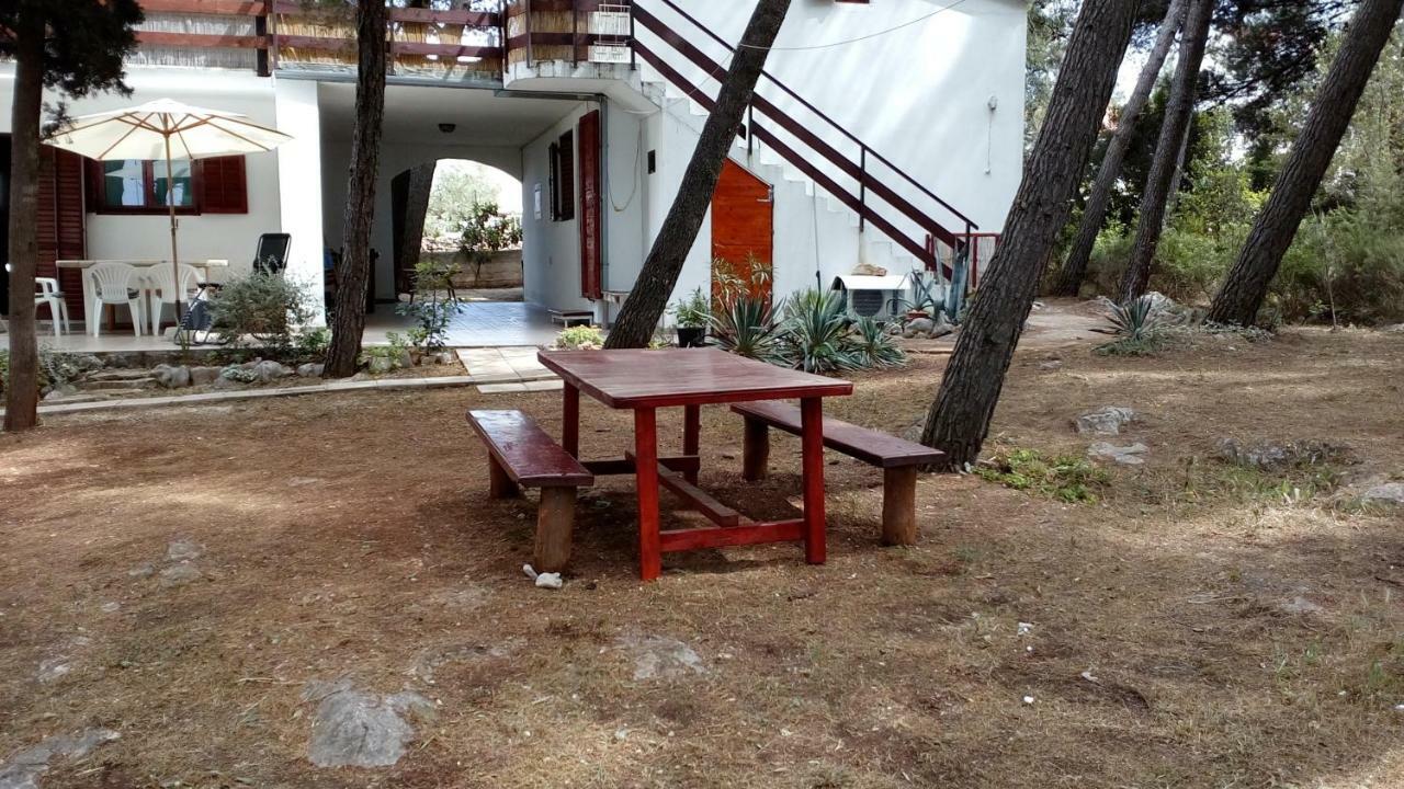 Apartments Vera - Mirca Mirce المظهر الخارجي الصورة